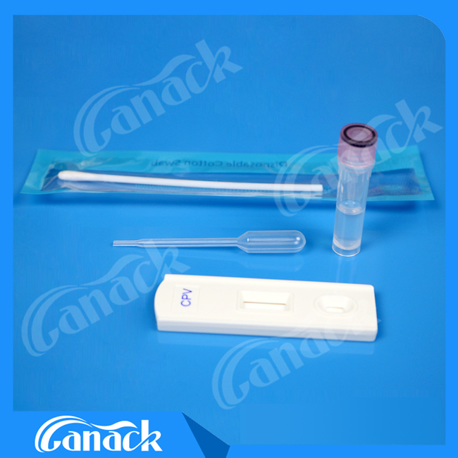 Canine Parvovirus Antigen Rapid Test Kit Cpv Test Hot Sale