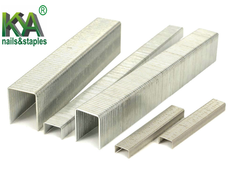 Std26/6 Galvanized Office Staples for Office, School