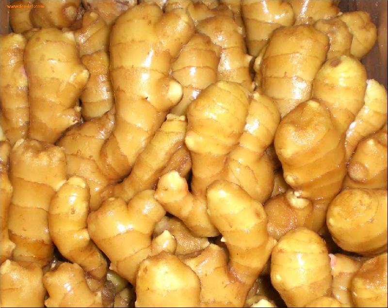 New Crop China Fresh Ginger/Air Dried Ginger of 250g Plus