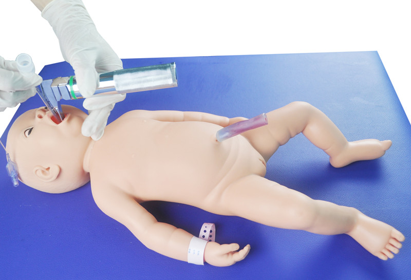 Neonatal Newborn Baby Endotracheal Inbutation Medical Skill Training Model