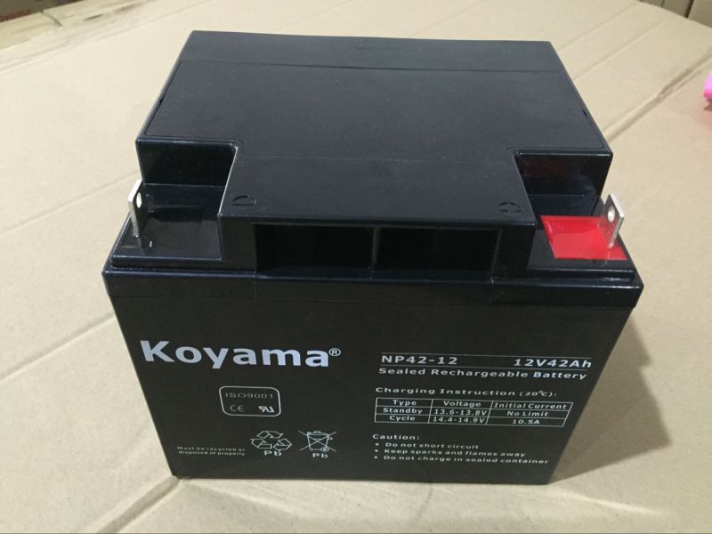 12V 42ah Lead Acid AGM Battery for Emergency Lighting