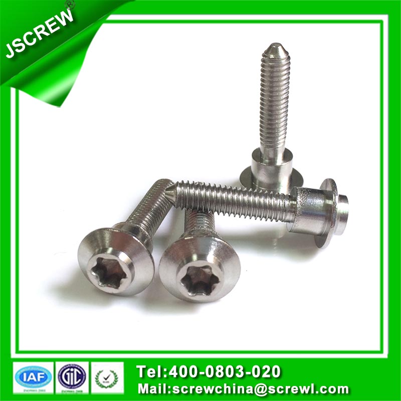 Button Head Stainless Steel Torx Special Screw