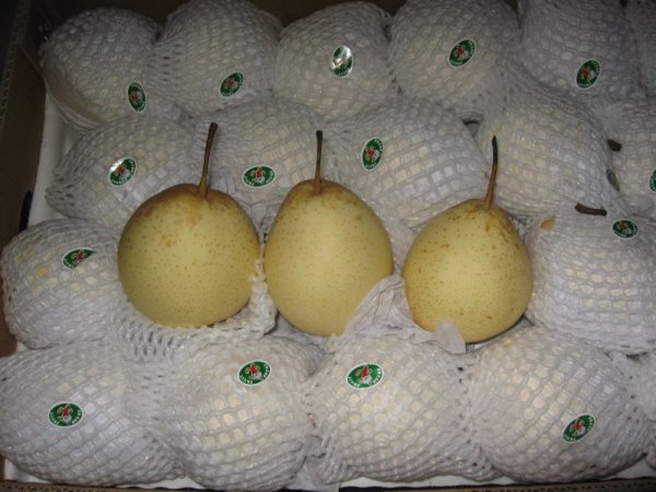 Yellow Color Fresh Ya Pear From China