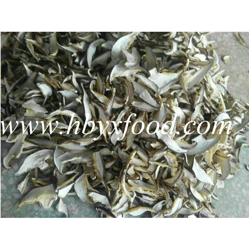 High Quality Dried Shiitake Mushroom Slice Factory