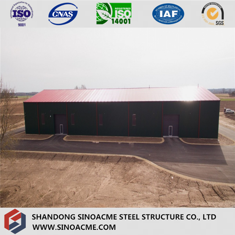 Galvanized Steel Structure Prefab Warehouse/Workshop/Building