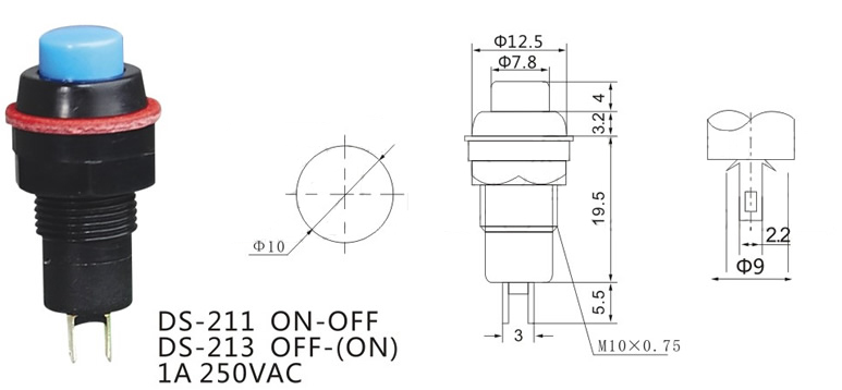 Ds-211 1A 250VAC Small on-off 10mm Push Button Switch