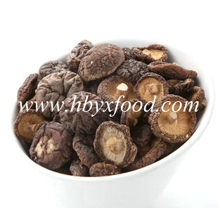 Newly Sale Dried Smooth Shiitake Mushroom with Great Nutrition