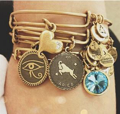 Alex and Ani Bangle/ Charms Bangle/ Fashion Jewelry (XBL13355)