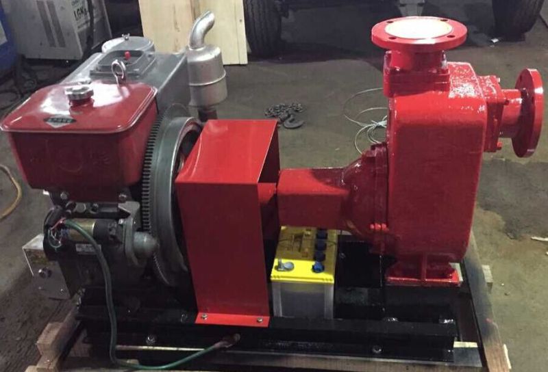 Small Single-Cylinder Diesel Self-Priming Pump