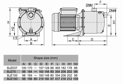 Stainless Steel Pump