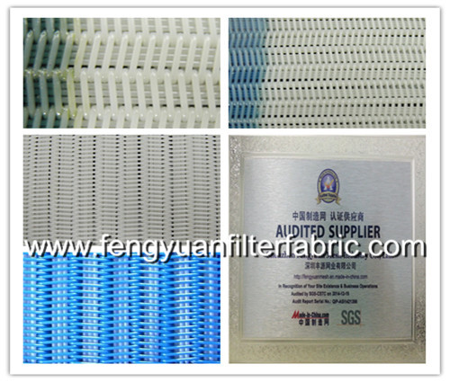 Polyester Spiral Press Filter Mesh