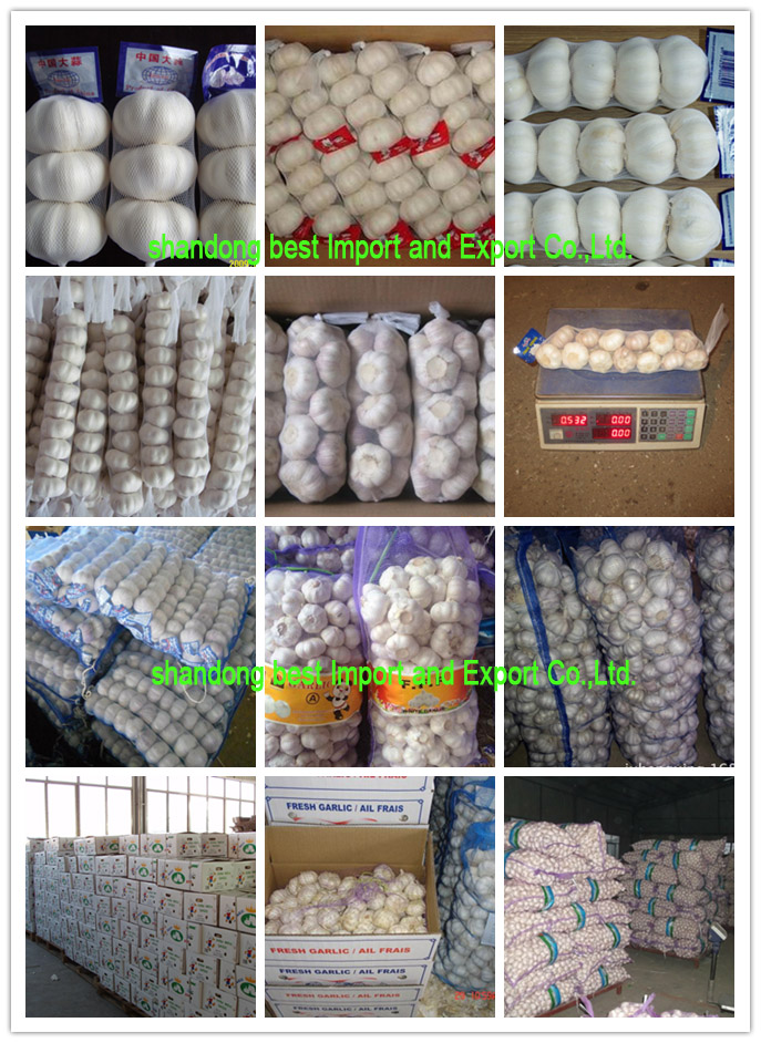 10kg Mesh Bag/Carton Fresh Pure White Garlic