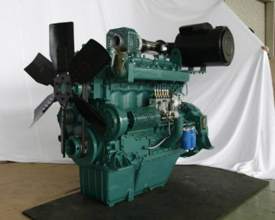 Wandi 50Hz 4-Stroke Engine (WD145TAD35)