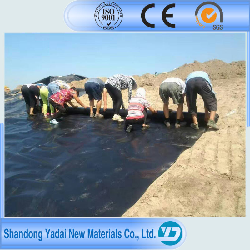 Artificial Lake Special Anti-Seepage LDPE Geomembrane