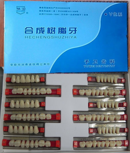 Euro-Market! ! ! 2016 Most Popular 2 Layer Acrylic Teeth