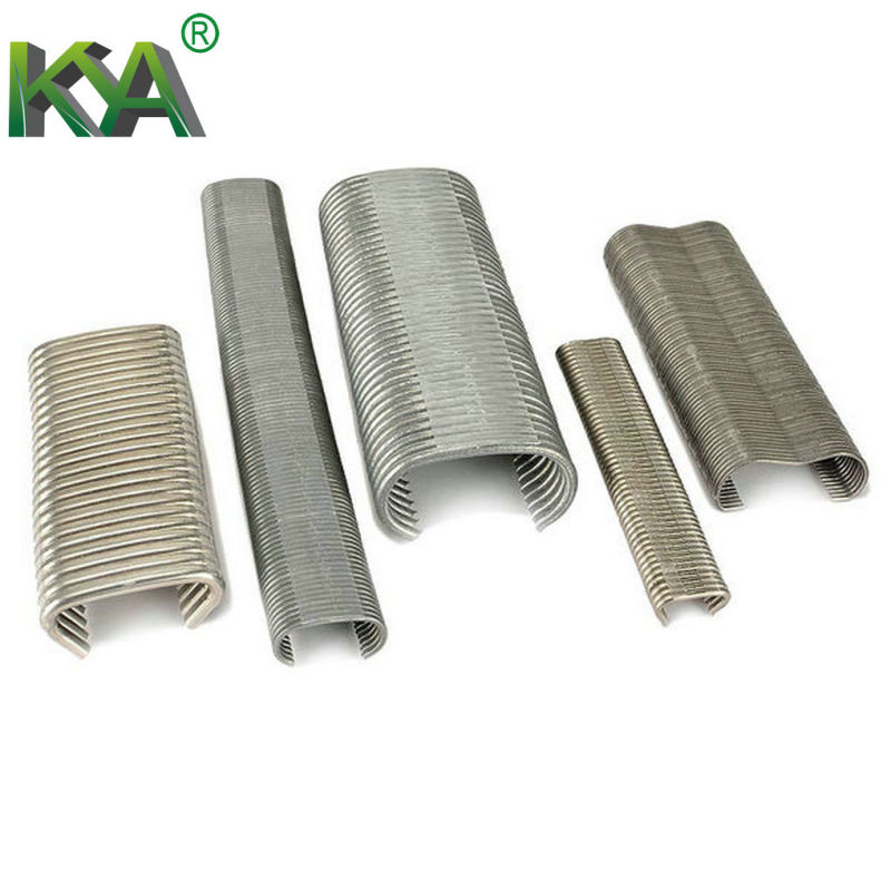 Galvanized 15ss100 Hog Ring Staple for Furnituring, Industry