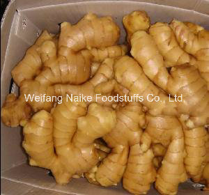 Dried Air Ginger for European and USA Market