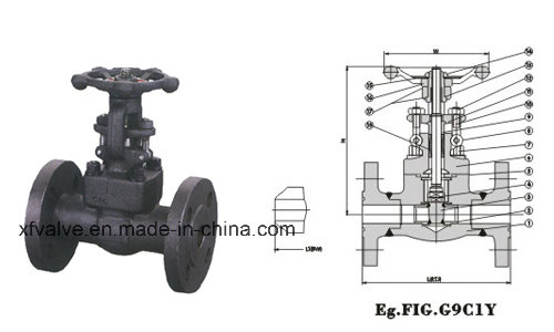 API602 1500lb 2500lb Forged Steel Flange Connection End Gate Valve