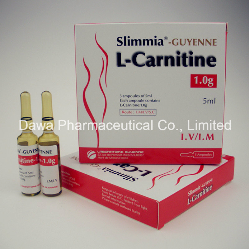 Ready Stock for Fat Blocking Aid L-Carnitine Injection