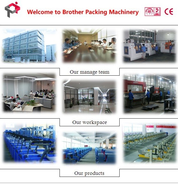 Ces5050 Brother Hot Carton Carton Erecting Machine