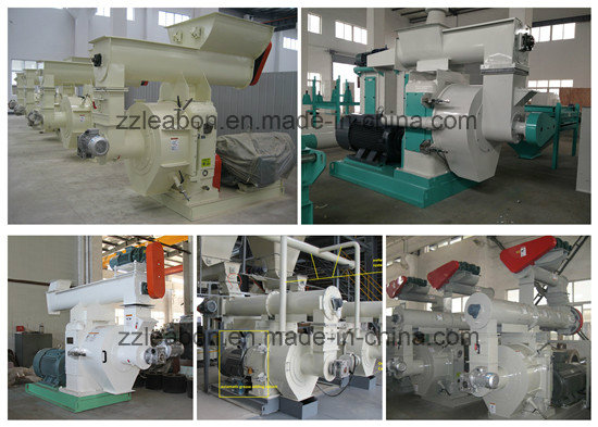 CE Ring Die Wood Pelletizing Machine for Sale