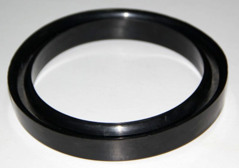 Y Shape Oil Seals for Cylinder