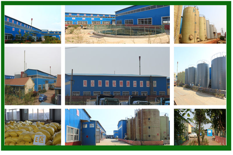 Magnesium Sulphate Processing