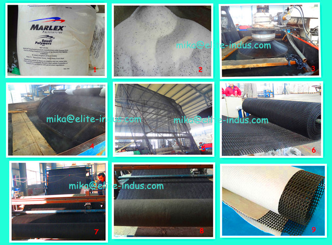 HDPE Geonet Composite Geotextile Flownet Drainage Media