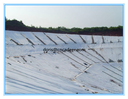 Polyester Geotextile