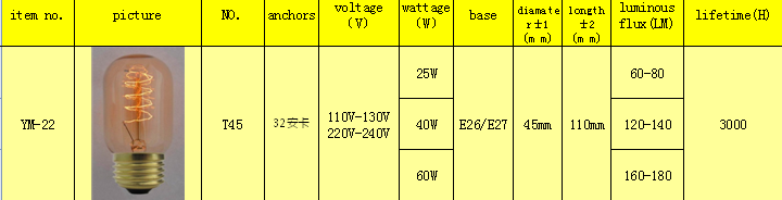 T45 60W 32 Anchors Antique Edison Bulb