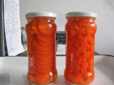 Canned Sliced Carrot with Best Price