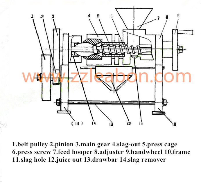 Celery Beet Ginger Caroot Juice Screw Vegetable Drinking Machine