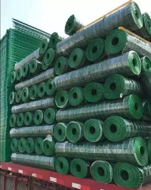 High Galvanized PVC Welded Wire Mesh Roll