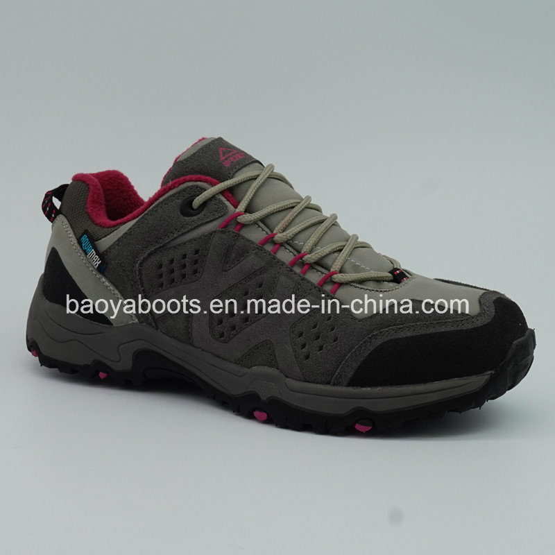New Design Good Sale Low Hiking Shoes Outdoor Trekking Shoes