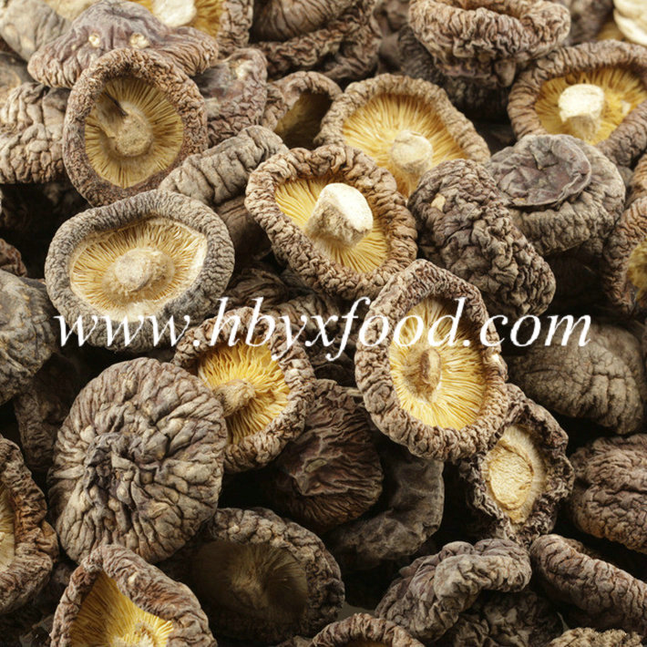 Agricultural Food Dried Smooth Shiitake Mushroom From China