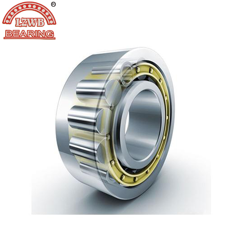 Chinese Manufactory of Cylinderical Roller Bearing (NJ 2208 E)