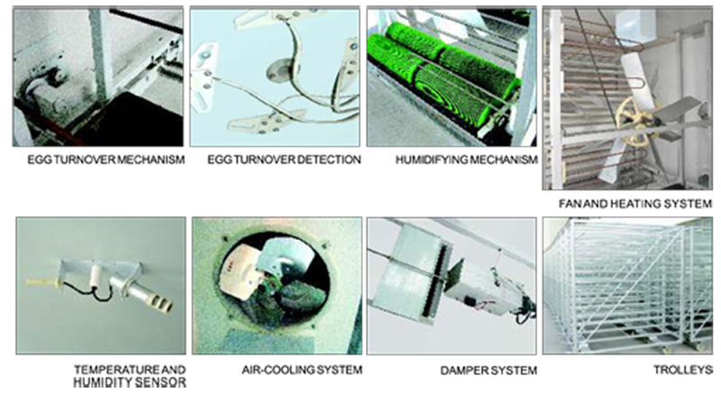 Automatic Egg Incubator for Chiken