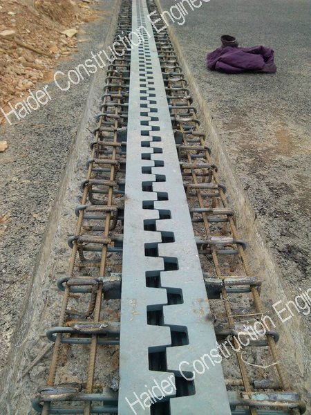 Long Finger Bridge Expansion Joint in China