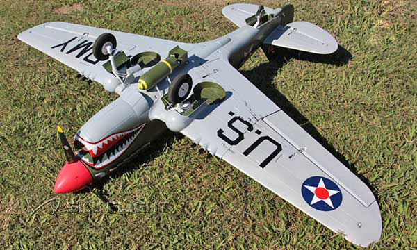 New Arrival Hot Selling DIY P40 12CH RC Plane