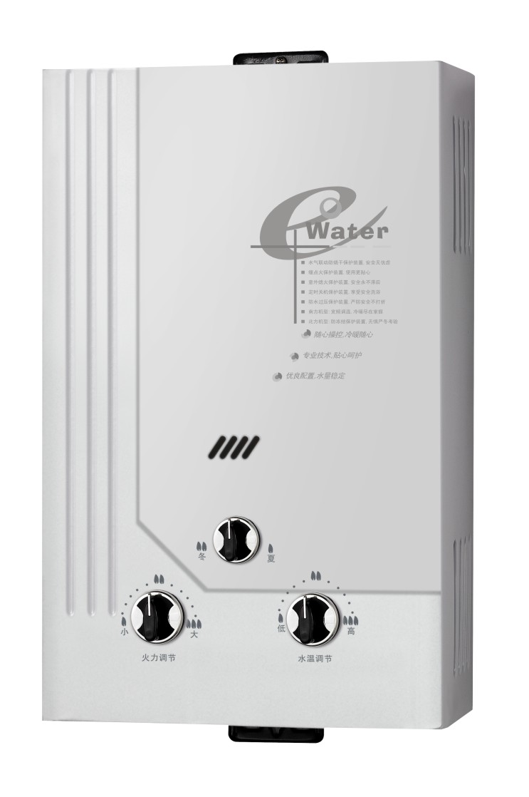 Flue Type Instant Gas Water Heater/Gas Geyser/Gas Boiler (SZ-RS-110)