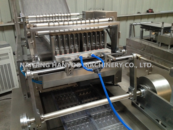 Dpp-250e Ampoule Vial Blister Packaging Machine