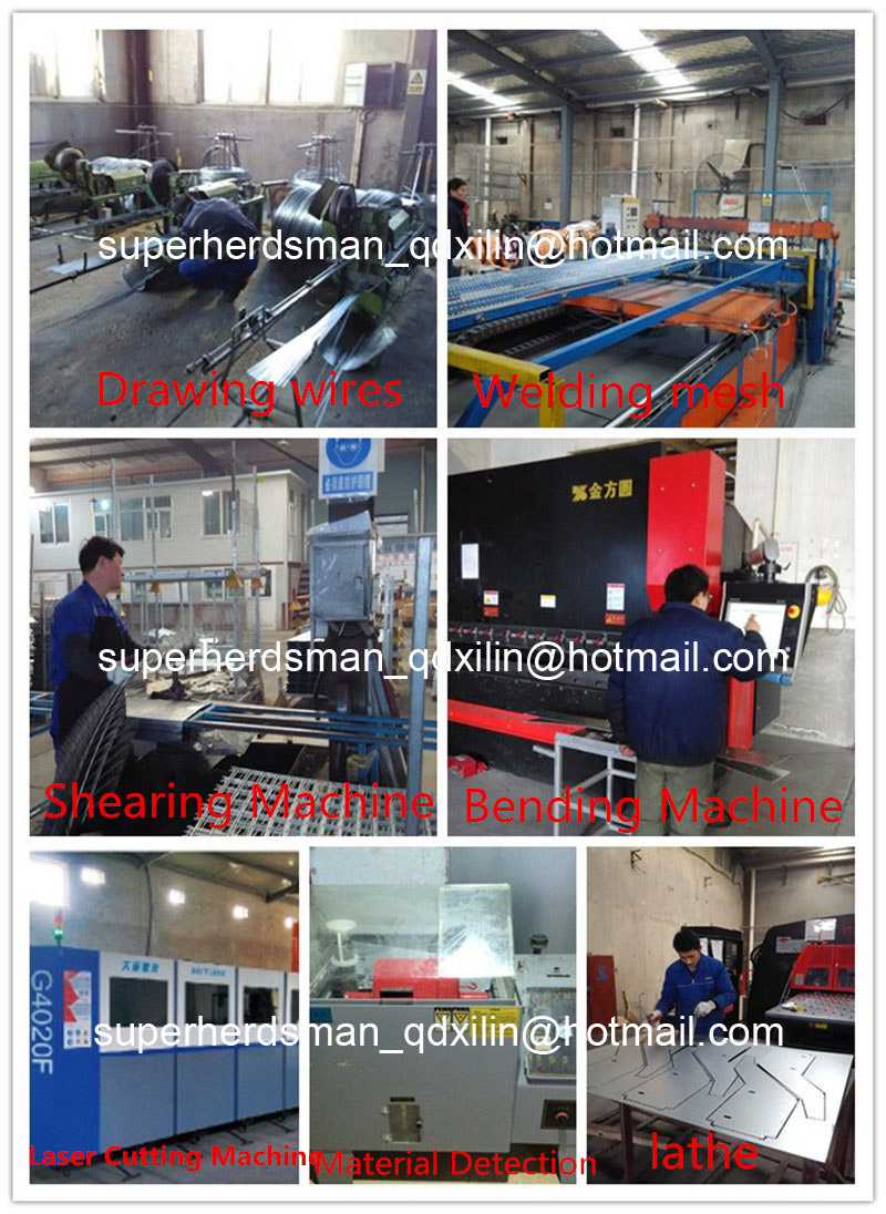 Automatic H Types Galvanized Steel Layer Poultry Cages