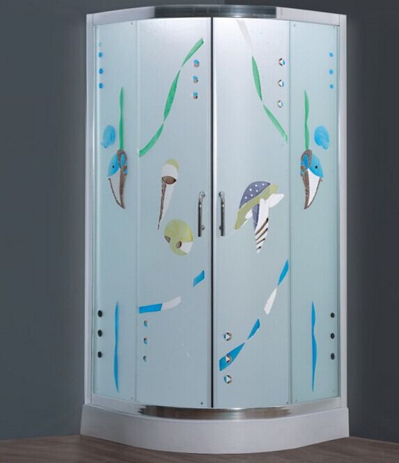 Patterned Glass Glass Shower Door (ADL-8048)