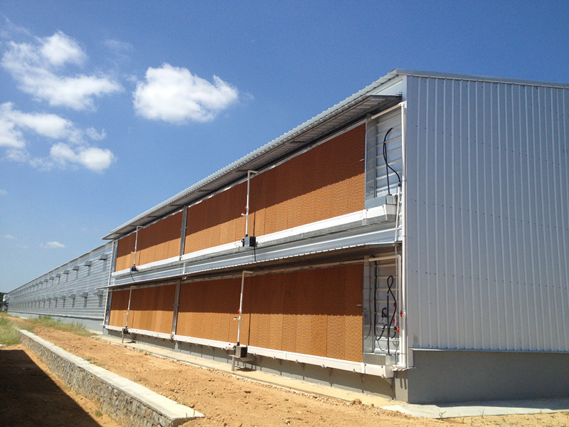 Double-Deck Closed Prefabricated Poultry Chicken House (Hygienic and Solid) (KXD-PCH12)