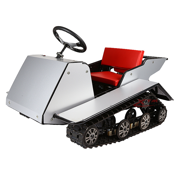 Kids Snowmobile Child Drift Petrol Snow Scooter for Sale