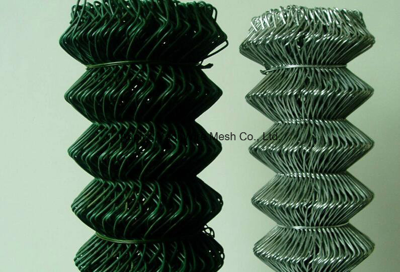 Plastic Coated PVC Coated Chain Link Fence High Quality in Low Price