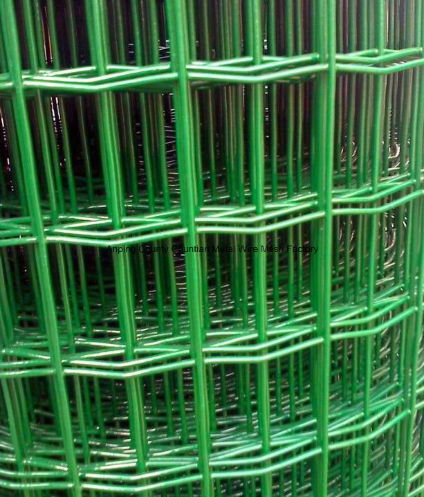 Euro Mesh Fence50X50mm, 50X100mm