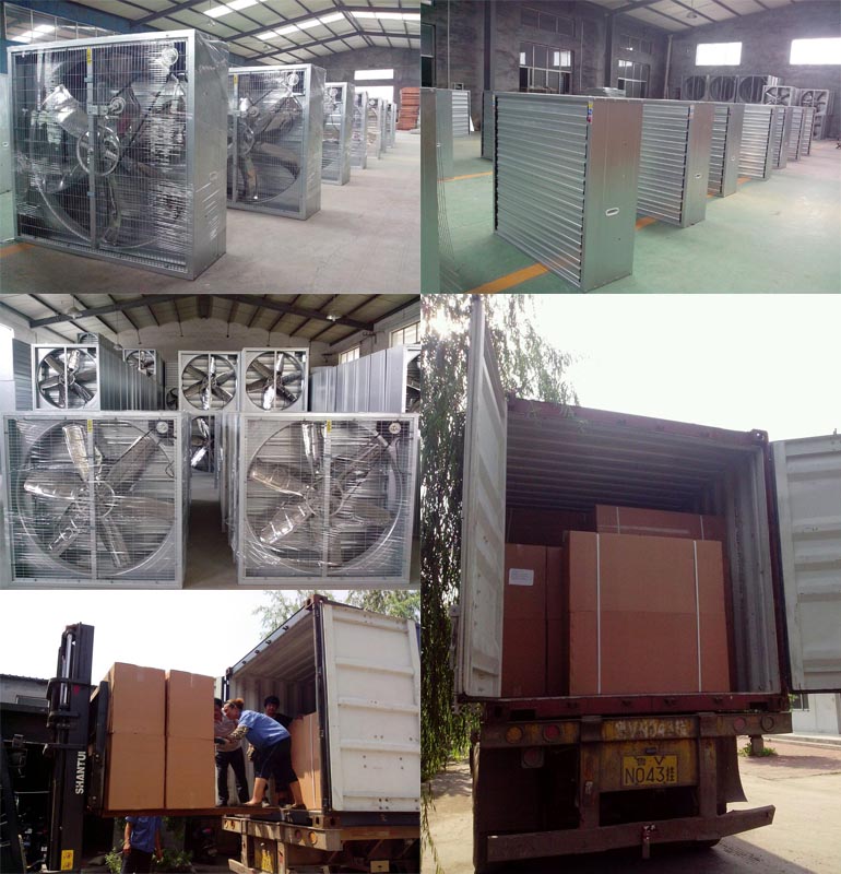 Hot Sale Greenhouse Wall Ventilation Fan for Sale Low Price