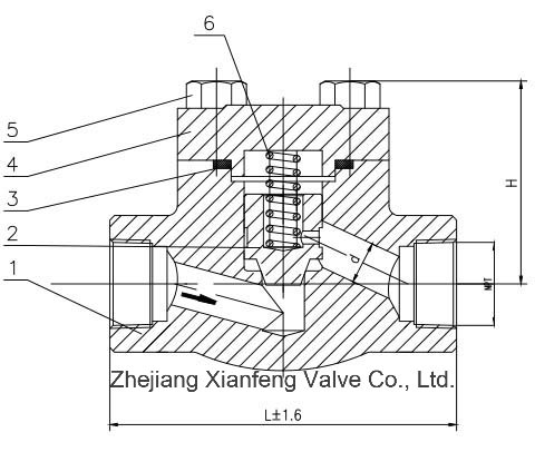 API602 Forged Steel Flange End Piston Check Valve