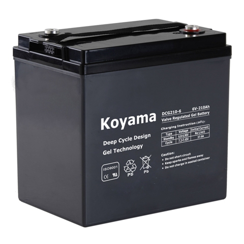 12V135ah-Ev Battery for Electric Vehicle &Recreational Vehicle (RV) (DCG135-12)